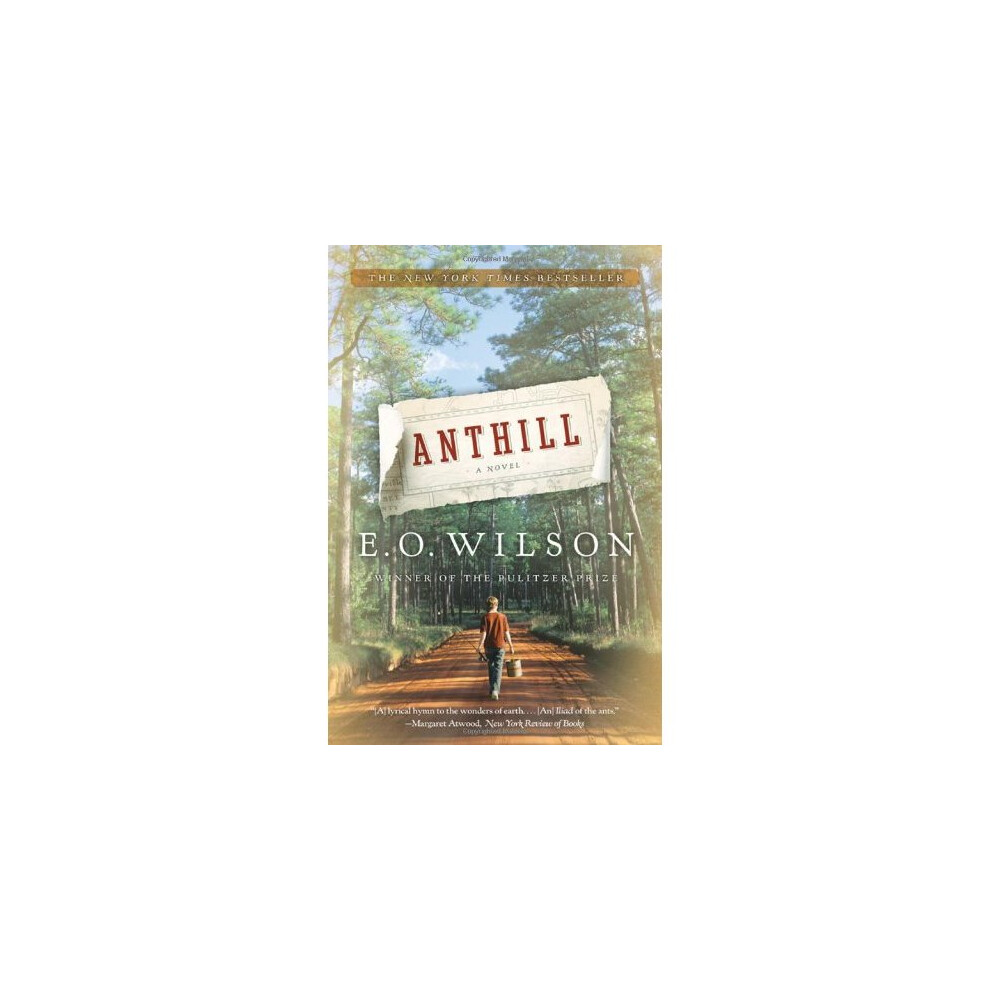 Anthill: A Novel