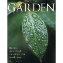 How to Garden: Planning, Planting, and Maintaining Your Outside Space