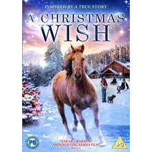 A Christmas Wish DVD [2014]