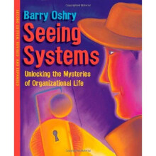 Seeing Systems: Unlocking the Mysteries of Organizational Life