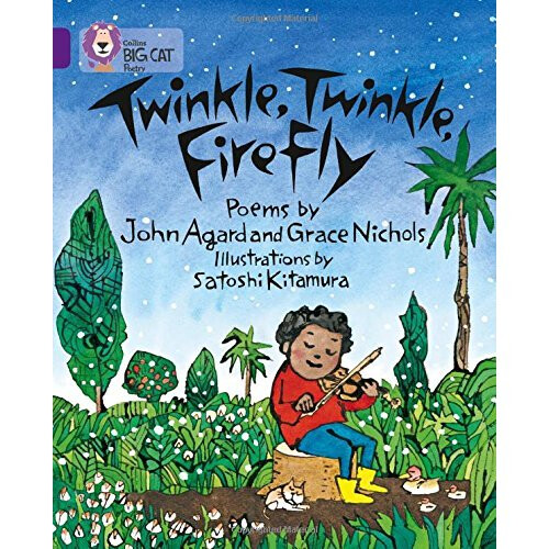 Twinkle, Twinkle, Firefly: Band 08/Purple (Collins Big Cat)