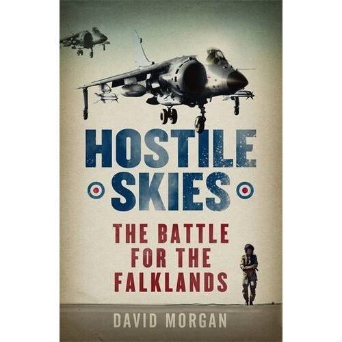 Hostile Skies