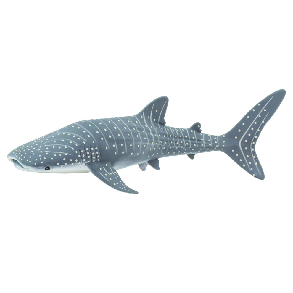 Whale SharK