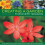 Creating a Garden for Every Season 1