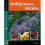 Easy guide to indigenous shrubs 1