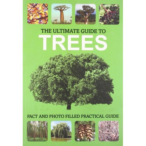 The Ultimate Guide to Trees