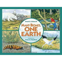 Many Biomes, One Earth
