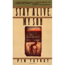 Stay Alive, My Son (Touchstone Books (Paperback))