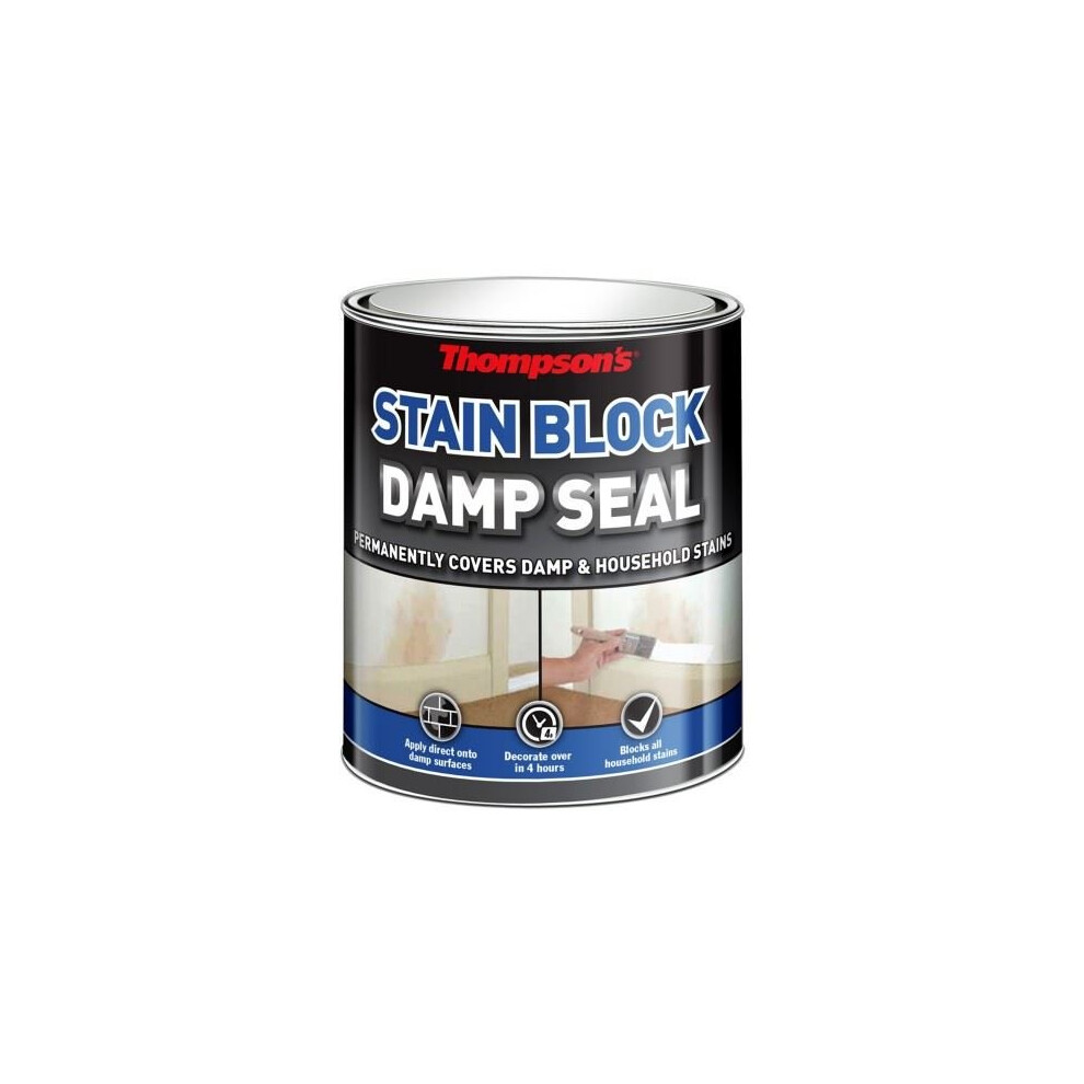 Thompsons Damp Seal TDS250 250ml