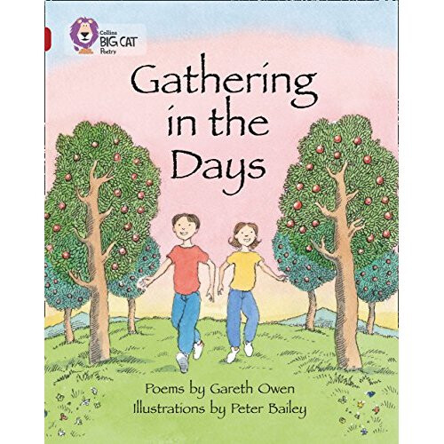Gathering in the Days: Band 14/Ruby (Collins Big Cat)