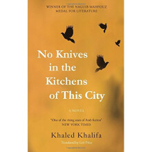 No Knives in the Kitchens of This City: A Novel (Hoopoe Fiction)