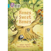 Homes Sweet Homes: Band 07/Turquoise (Collins Big Cat)