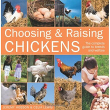 Choosing & Raising Chickens