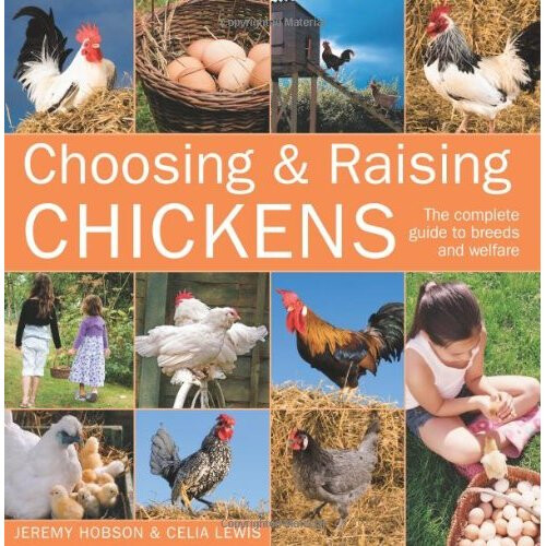 Choosing & Raising Chickens