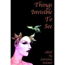 THINGS INVISIBLE TO SEE: Gay and Lesbian Tales of Magical Realism
