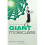 Giant Molecules: From Nylon to Nanotubes 1