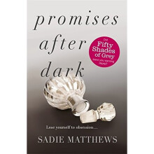 Promises After Dark (After Dark Book 3): After Dark Book Three