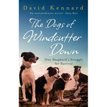 The Dogs of Windcutter Down: One Shepherd's Struggle for Survival