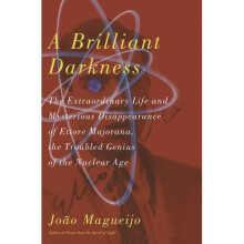 A Brilliant Darkness: The Extraordinary Life and Mysterious Disappearance of Ettore Majorana, the Troubled Genius of the Nuclear Age