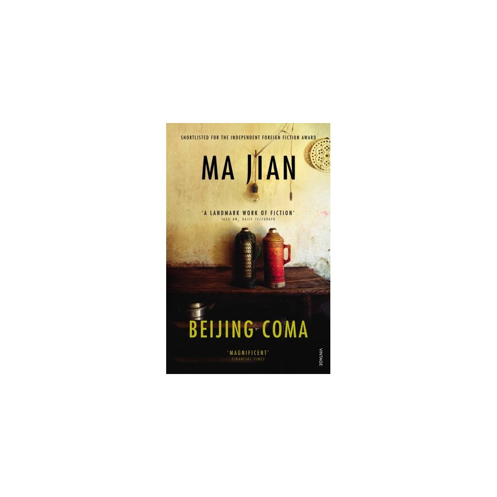 Beijing Coma