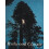 Redwood Classic 1