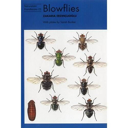 Blowflies (Naturalists' Handbook 23)