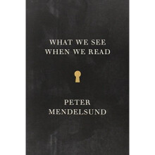 What We See When We Read (Vintage Original)