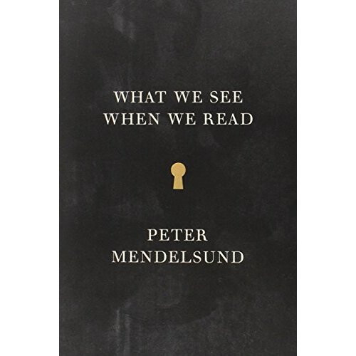 What We See When We Read (Vintage Original)