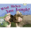 BC NF Green A/1B What Makes You Laugh? (BUG CLUB) 1