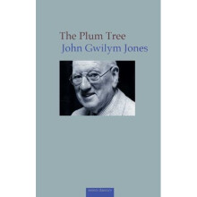 The Plum Tree: And Other Short Prose