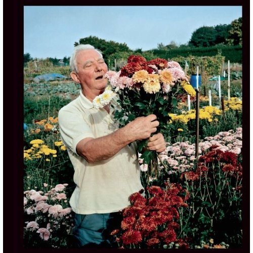 Allotments
