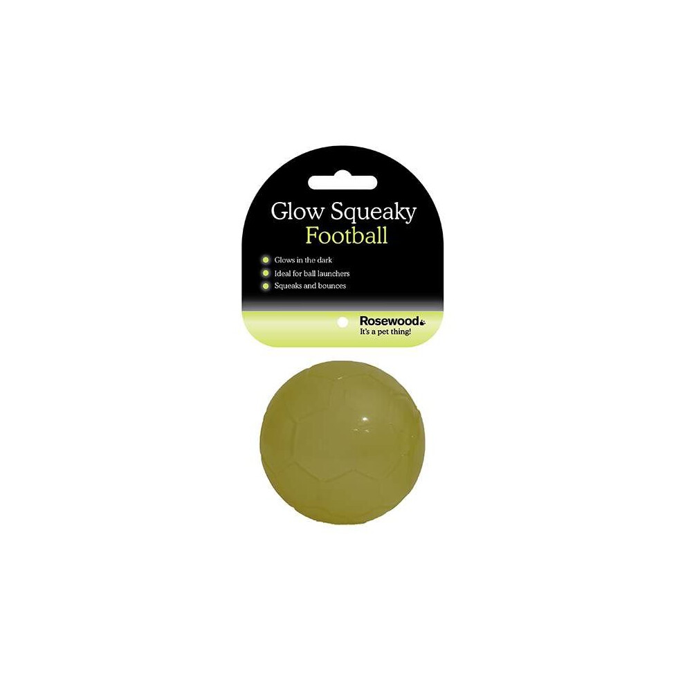 Rosewood Glow in the Dark Squeaky Dog Ball