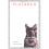 Plutarch (Hermes Books) 1