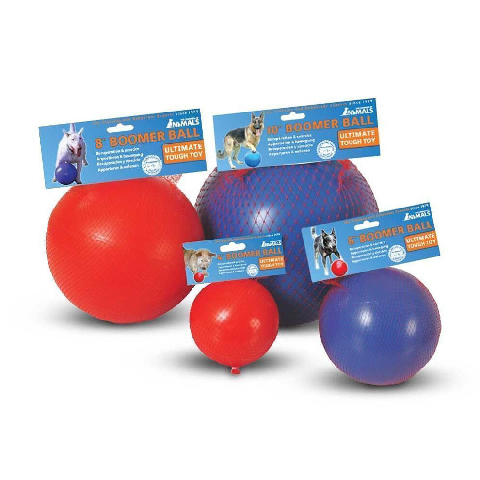 Company Of Animals (4 Inch) The Boomer Ball Dog Toy
