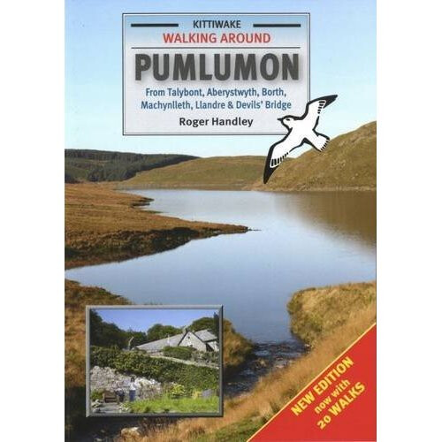 Walking Around Pumlumon