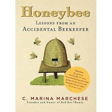 Honeybee: Lessons from an Accidental Beekeeper