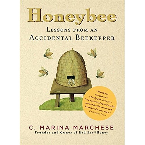 Honeybee: Lessons from an Accidental Beekeeper