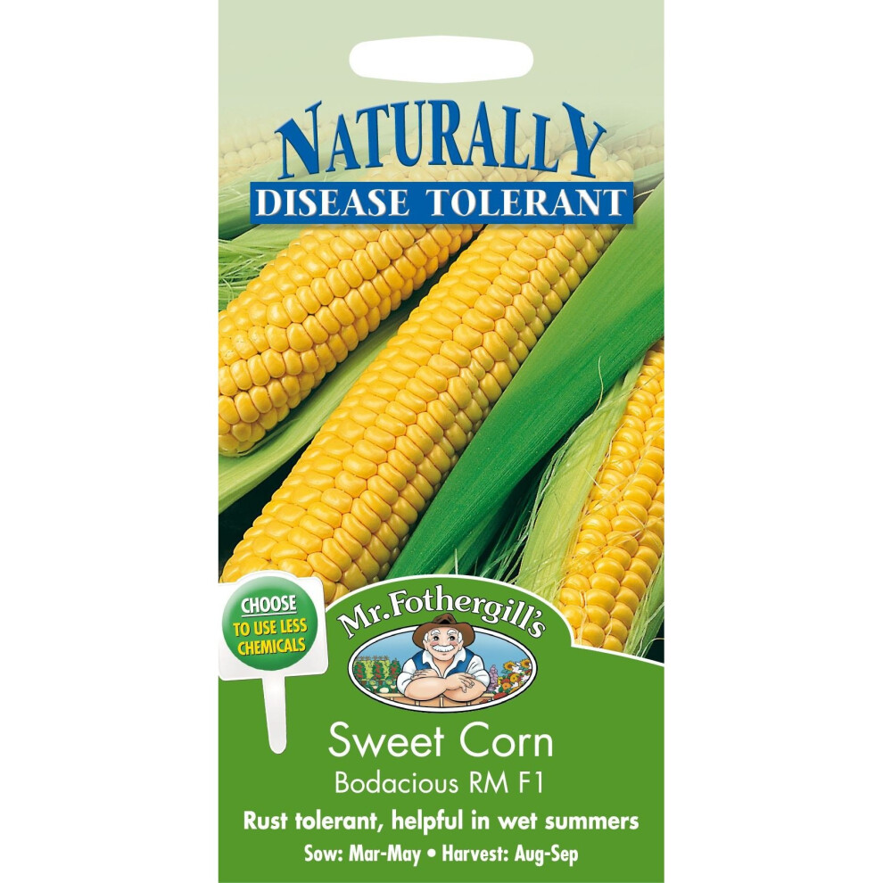 Mr Fothergill's - Pictorial Packet - Vegetable - Sweet Corn Bodacious Rm F1 - 25 Seeds