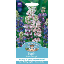 Mr Fothergills - Pictorial Packet - Flower - Lupin Pixie Delight - 75 Seeds