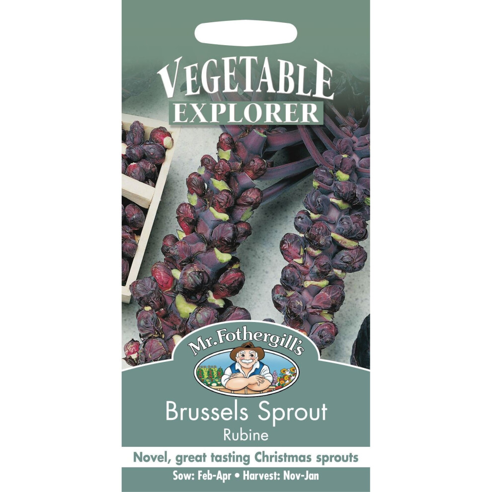 Mr Fothergills - Pictorial Packet - Vegetable - Brussels Sprout Rubine - 100 Seed