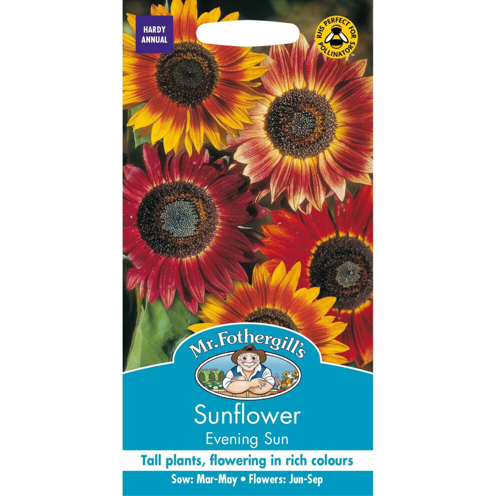 Mr Fothergills - Pictorial Packet - Flower - Sunflower Evening Sun - 50 Seeds