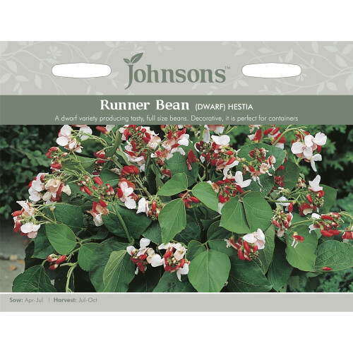 Johnsons Seeds - Pictorial Pack - Vegetable - Runner Bean (Dwarf ...