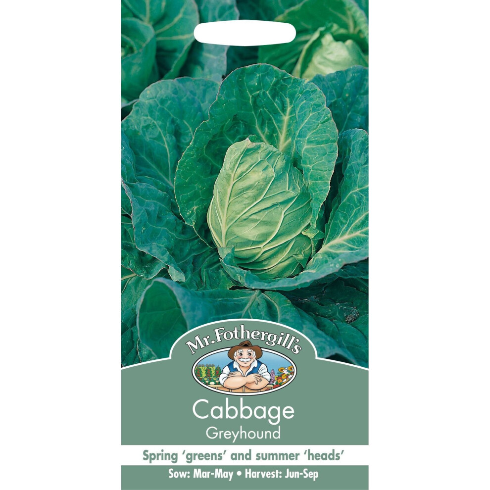 Mr Fothergills - Pictorial Packet - Vegetable - Cabbage Greyhound - 500 Seeds