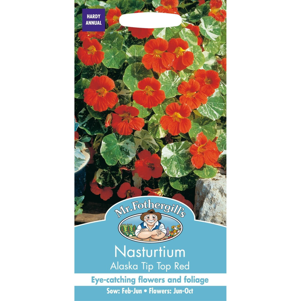 Mr Fothergills - Pictorial Packet - Flower - Nasturtium Alaska Tip Top Red - 25 Seeds