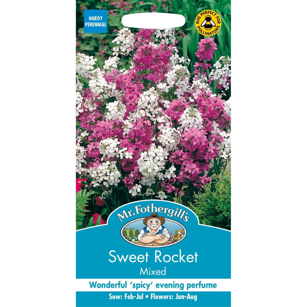 Mr Fothergills - Pictorial Packet - Flower - Sweet Rocket - 500 Seeds