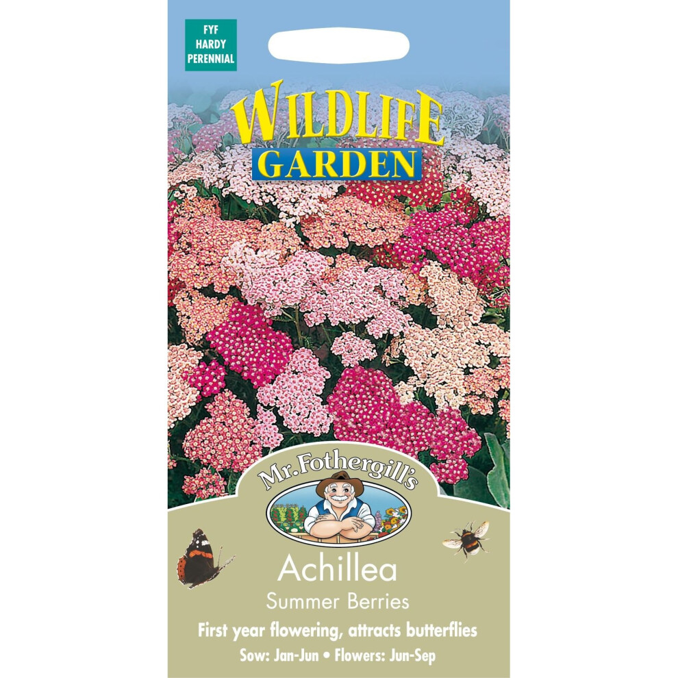 Mr Fothergill's - Pictorial Packet - Flower - Achillea Summer Berries - 50 Seeds