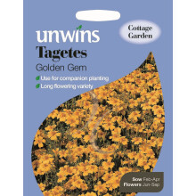 Unwins Easy Grow Your Own Summers Garden Tagetes Golden Gem Seeds Pkt