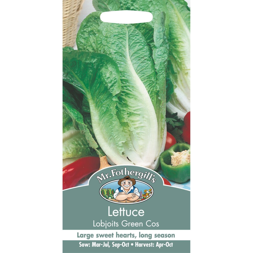 Mr Fothergill's - Pictorial Packet - Vegetable - Lettuce Lobjoits Green Cos - 1250 Seed