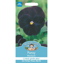 Mr Fothergills - Pictorial Packet - Flower - Pansy Blackjack - 75 Seeds