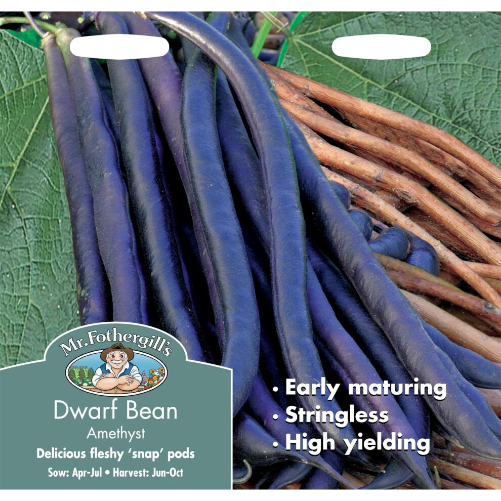 Mr Fothergills - Pictorial Packet - Vegetable - Dwarf Bean Amethyst - 100 Seeds